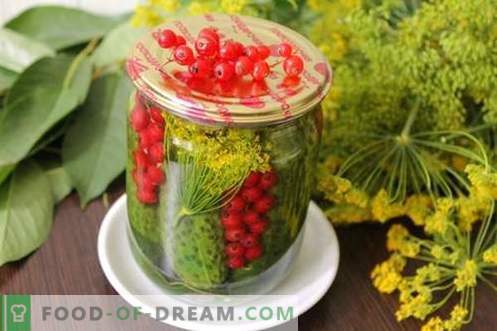 Краставици маринирани со црвени рибизли - сите бои на летото во еден може
