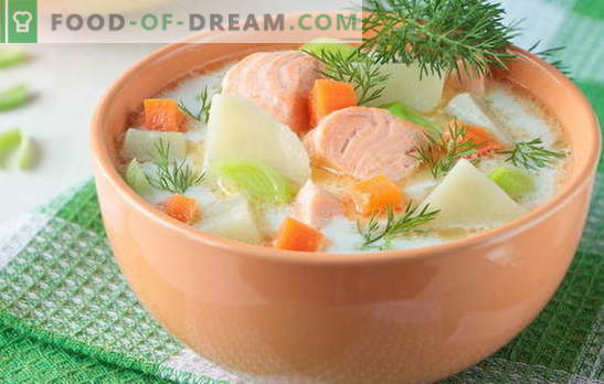 Супа од црвена риба - како возрасни и деца. Чекор по чекор рецепти за вкусни супи од црвена риба: лосос, лосос, розово лосос