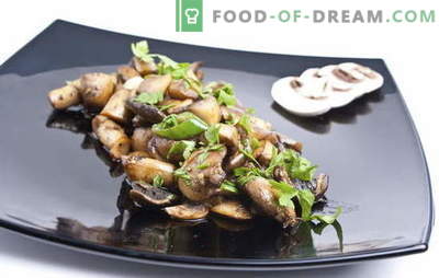 Receita para champignons fritos. Como fritar champignons: com ou sem cebola - preparação adequada, processamento e cozinhar