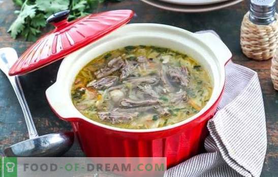 Класична руска кујна - свежа супа од зелка со говедско месо. Интересни рецепти на свежа супа од зелка со говедско месо