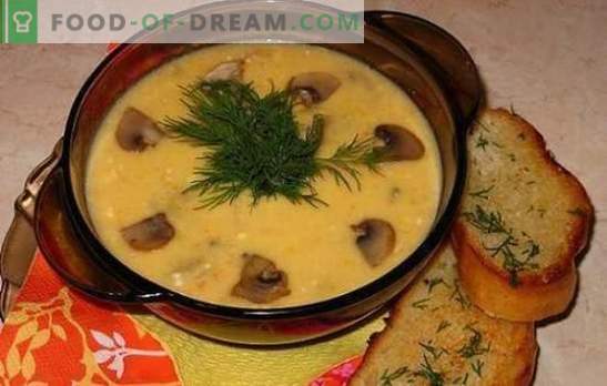 Супа од сирење со печурки - нежно, вкусна, задоволувачка. Рецепти за најдобри сурови сирења со печурки и пилешко, зеленчук и пушеле
