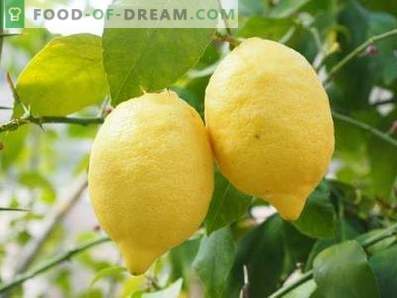 Лимони: Придобивки и штети